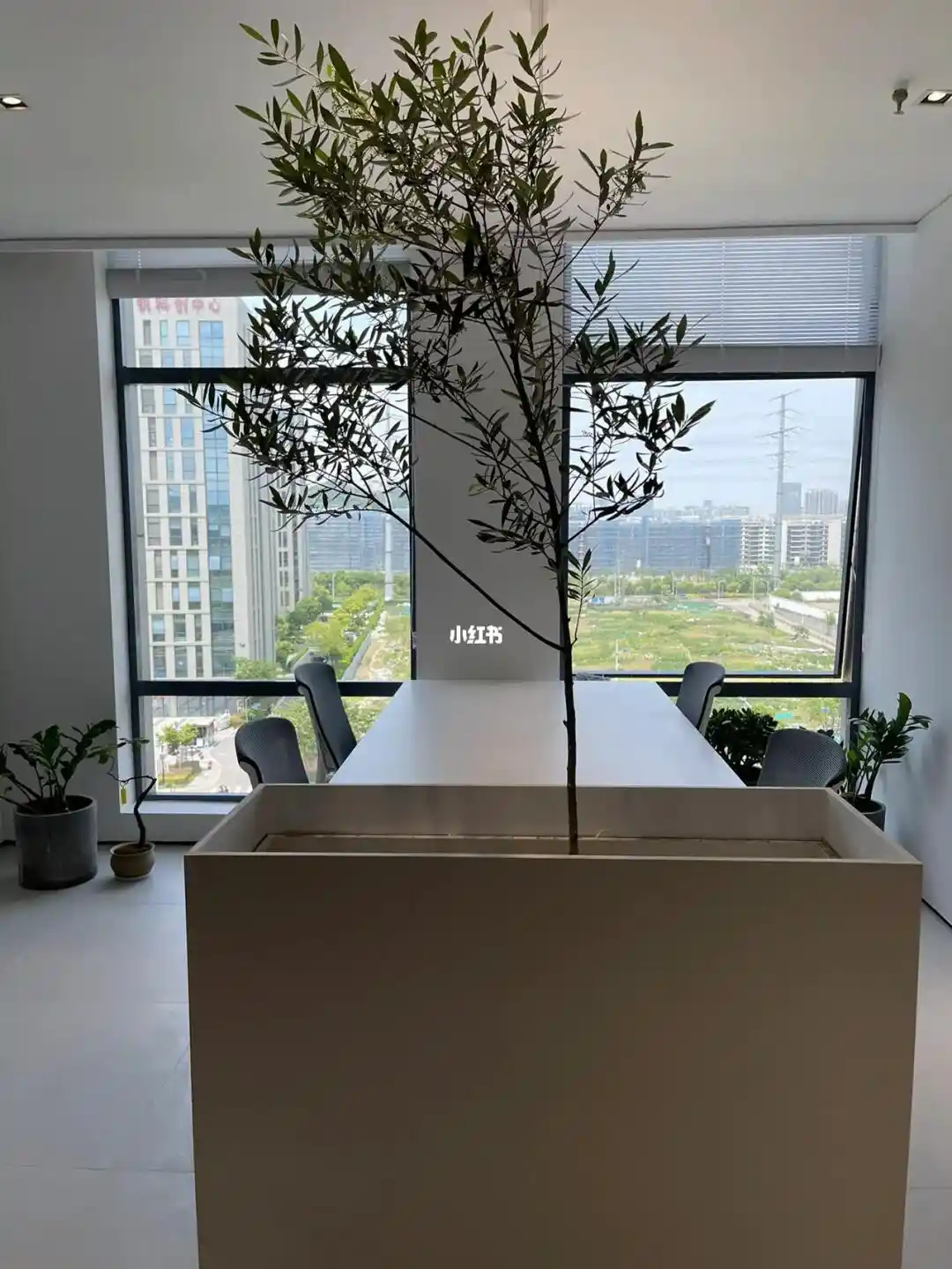 合金锯片磨齿机图片，这几个细节别忽略